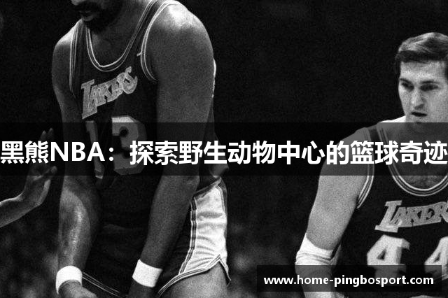 黑熊NBA：探索野生动物中心的篮球奇迹