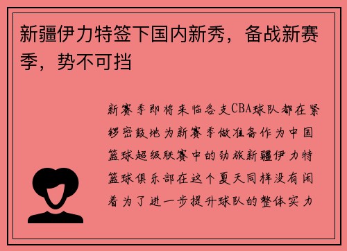新疆伊力特签下国内新秀，备战新赛季，势不可挡